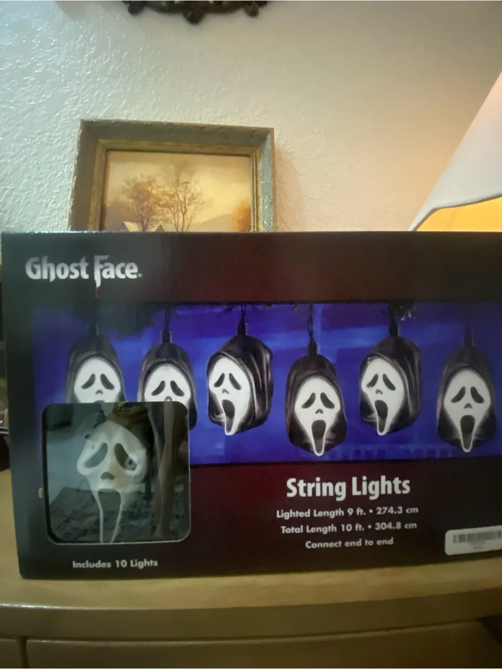 Spirit Halloween Ghost Face String Lights - White & Black